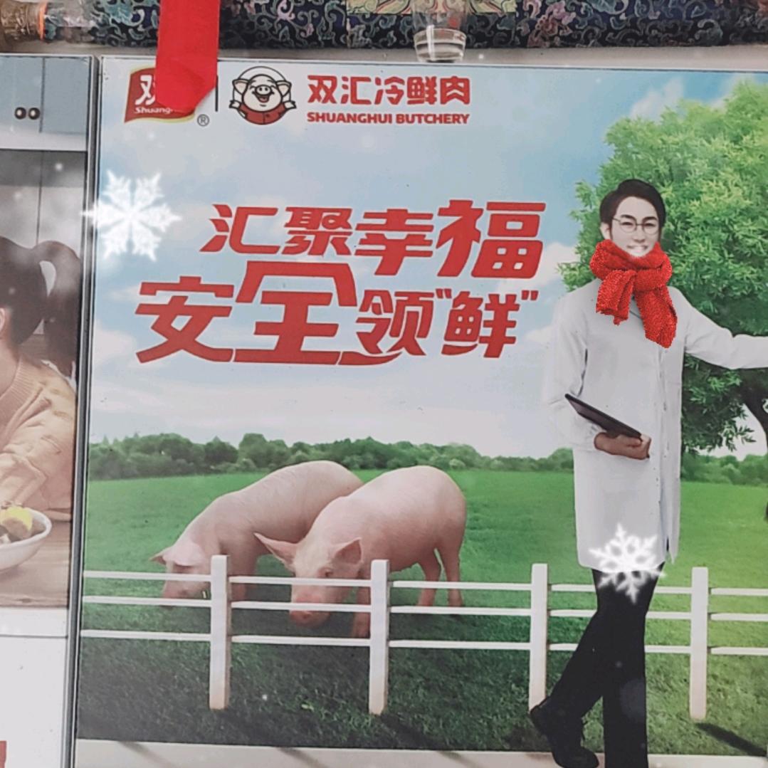 碌曲双汇冷鲜肉