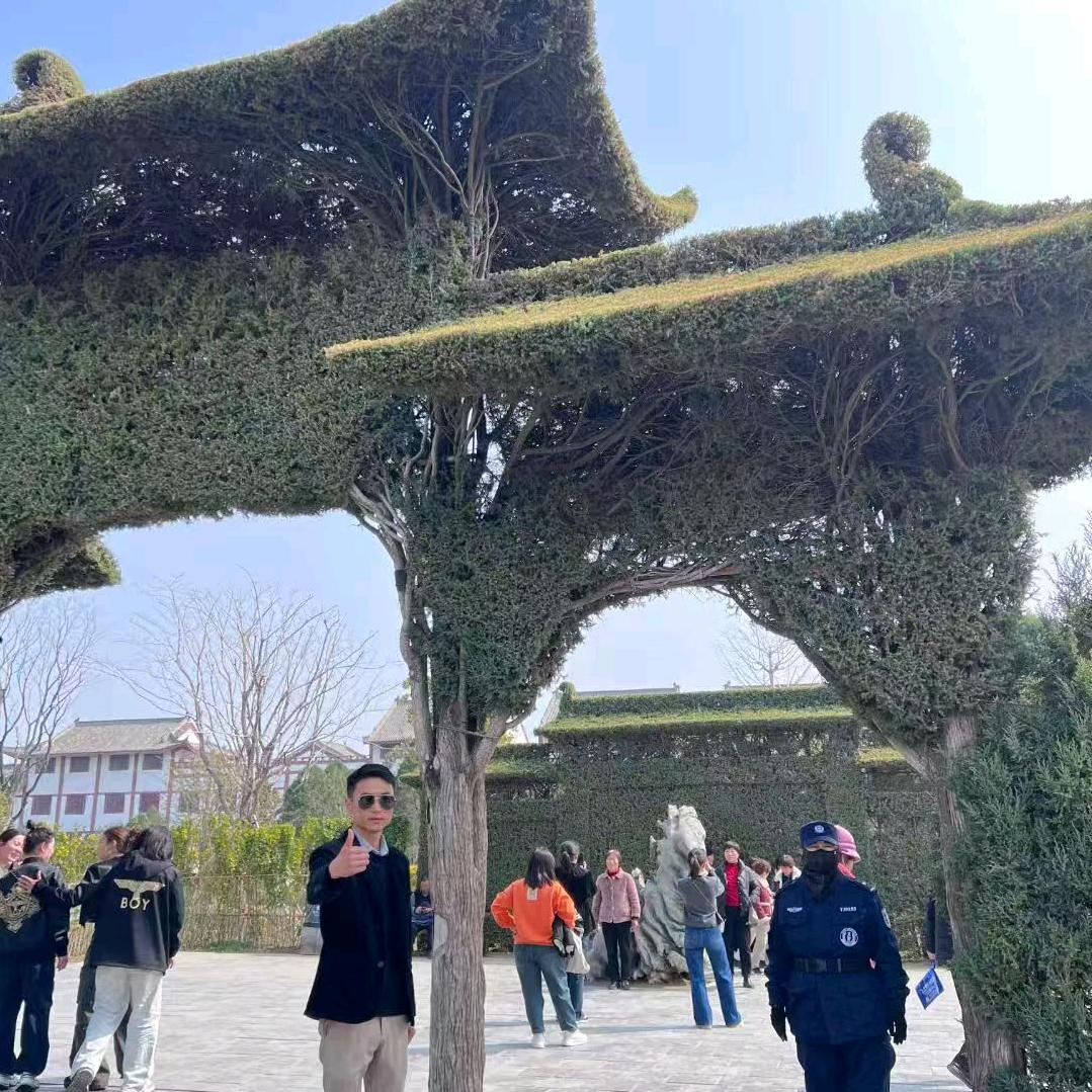 老杨电商