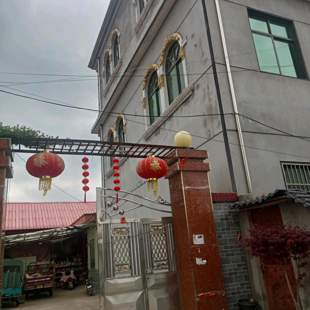 我又来了