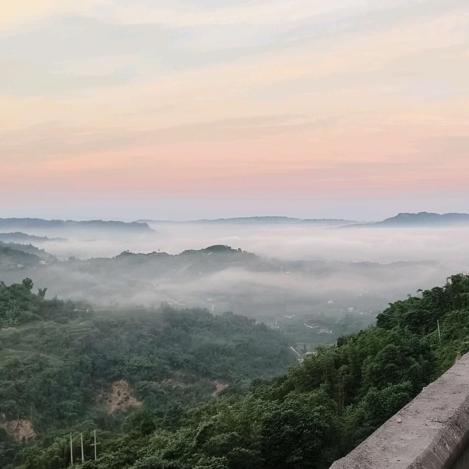 鑫哥