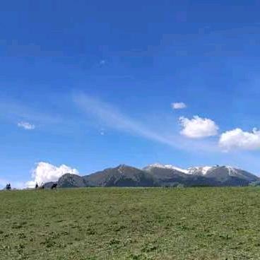 桑镇焦家家具城