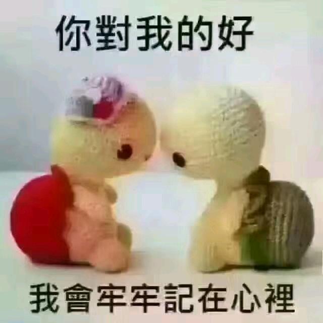 北遇南辞