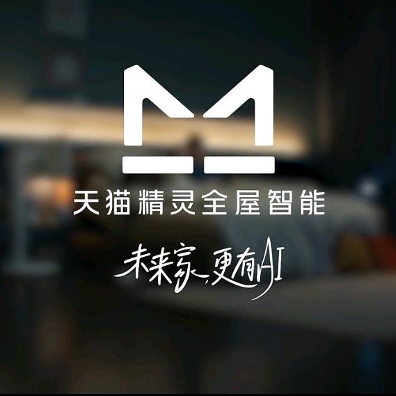 嘉兴天猫精灵全屋智能