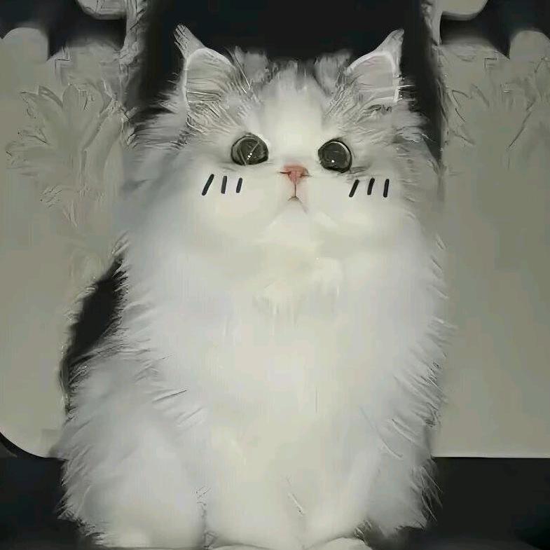 锦清