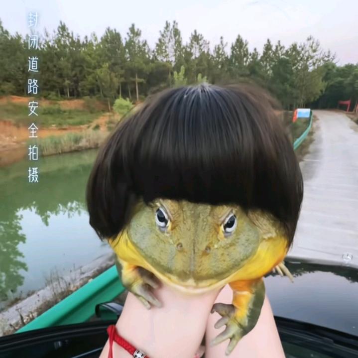 七天七天