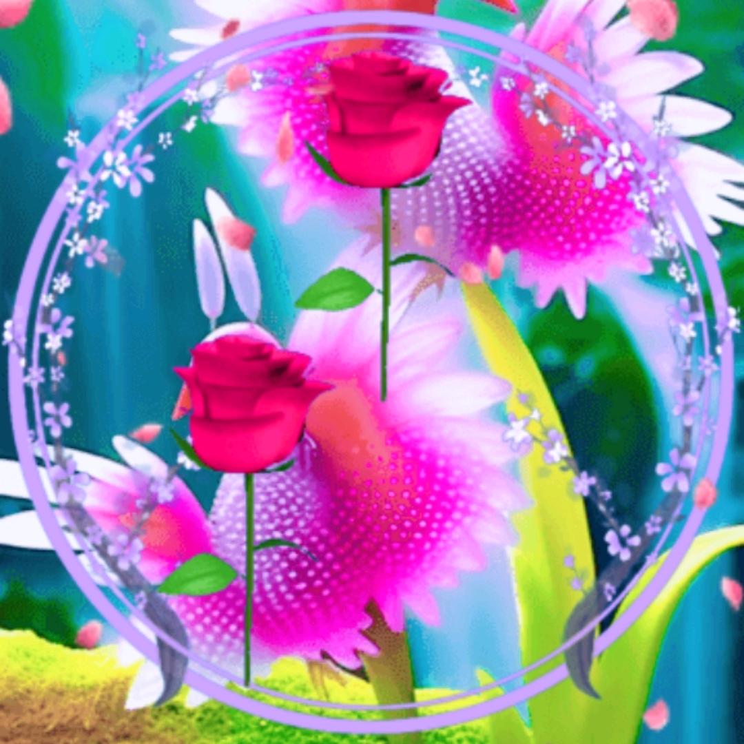 开心❤️❤️❤️