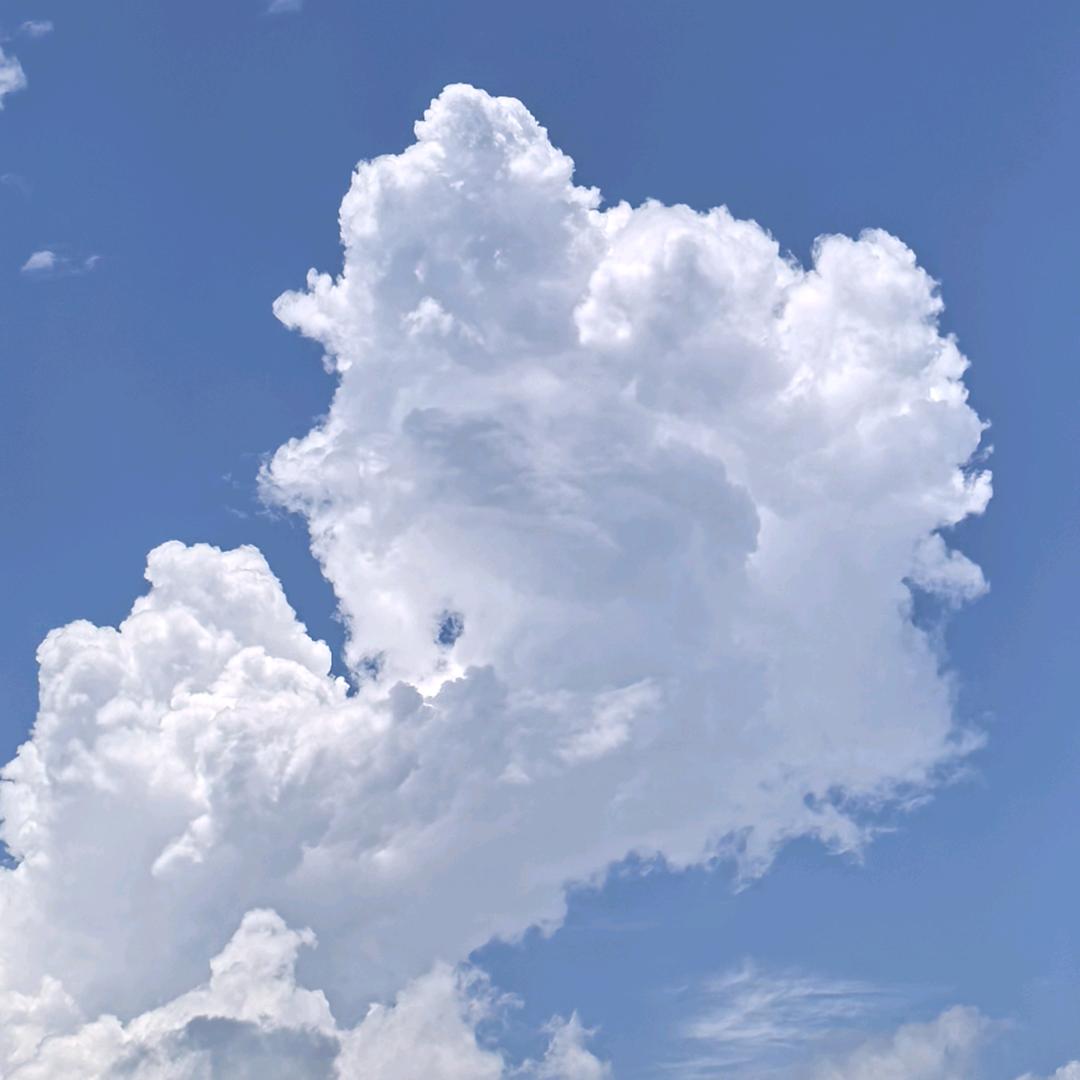 把不习惯变成了习惯