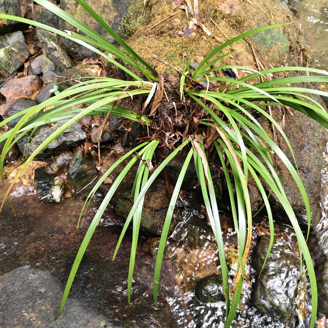 排湿,加油