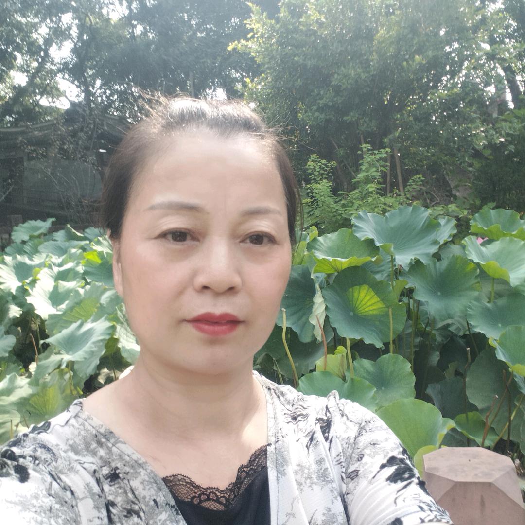 美