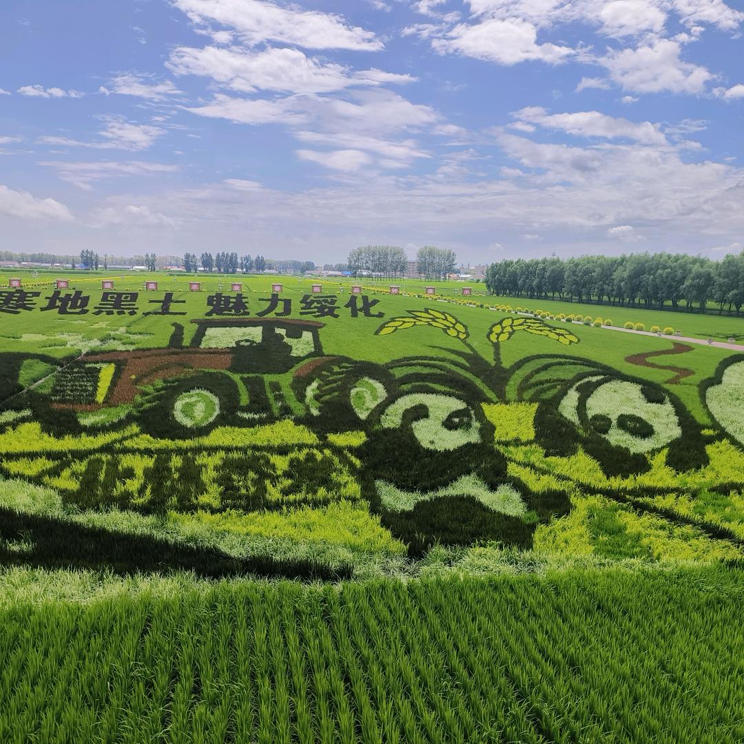 用户：与宁同行