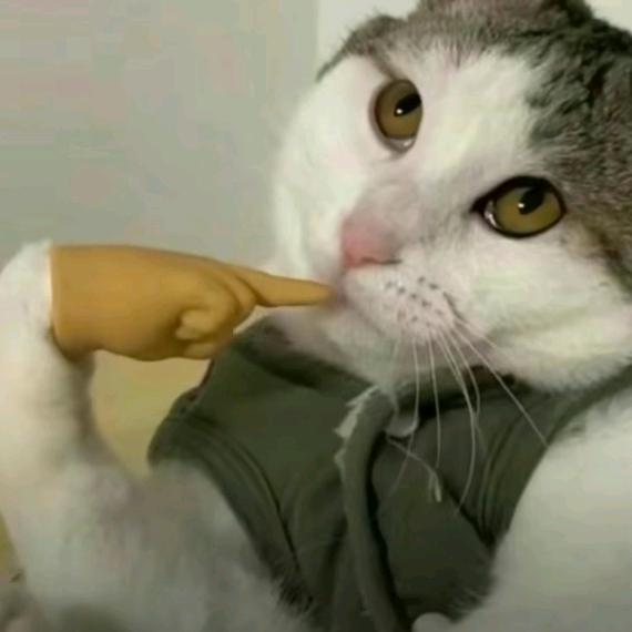观观