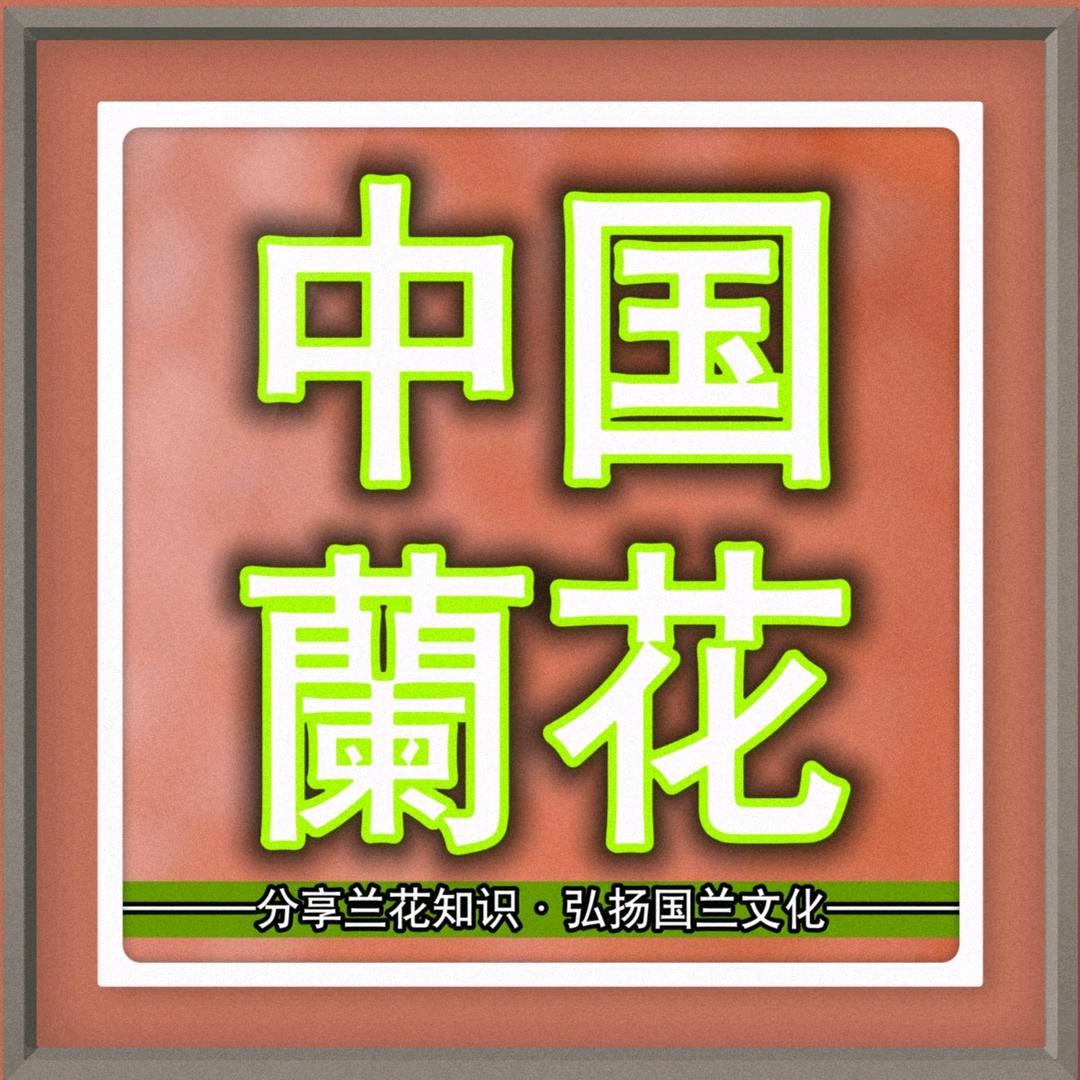 中国兰花观察