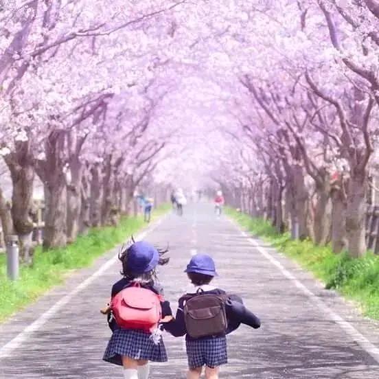 苹果🍎与海