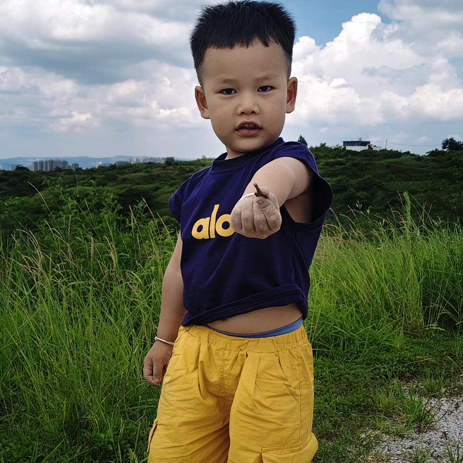 骑着毛驴闯红灯