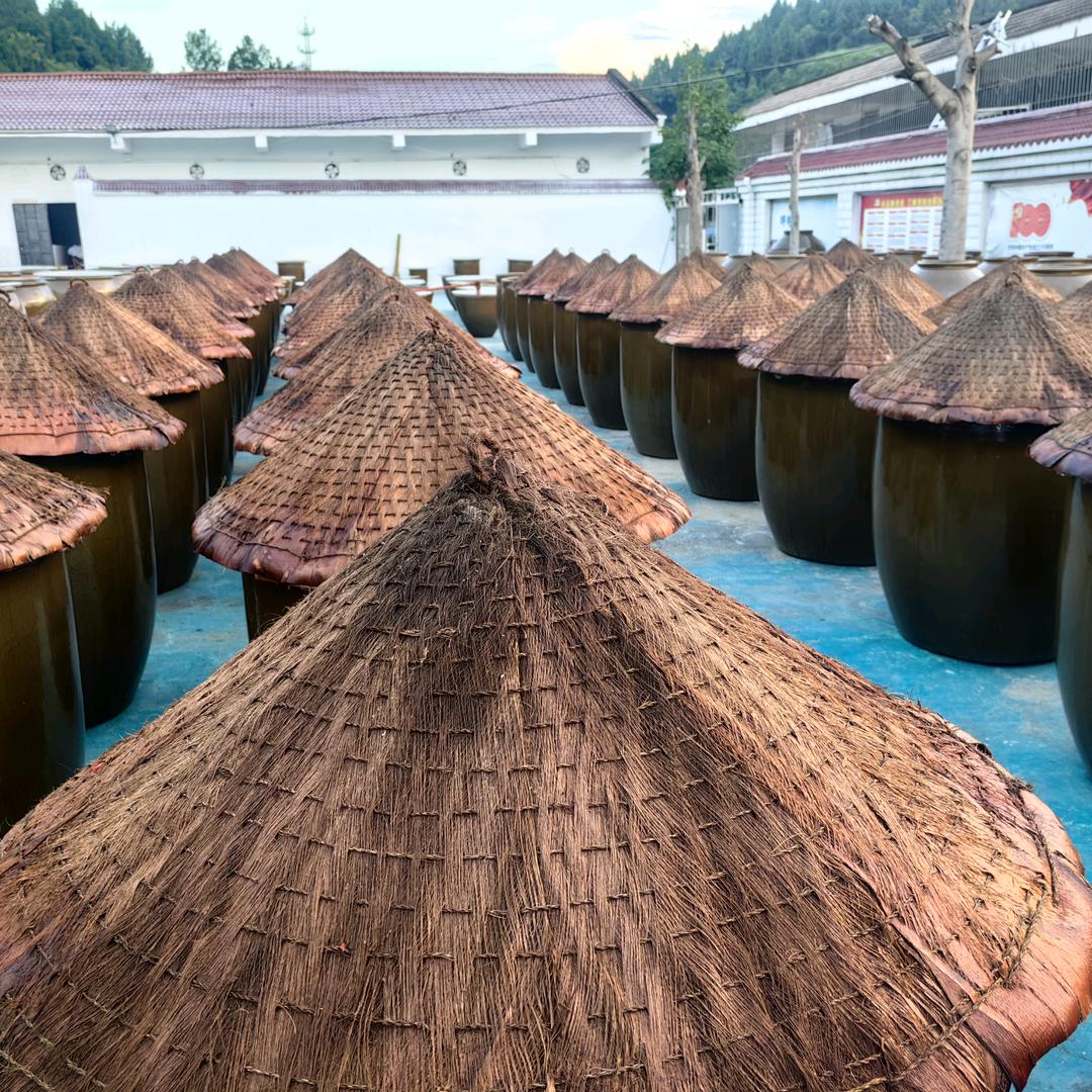 冬去春来