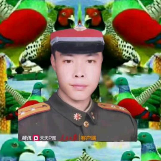 云南表哥
