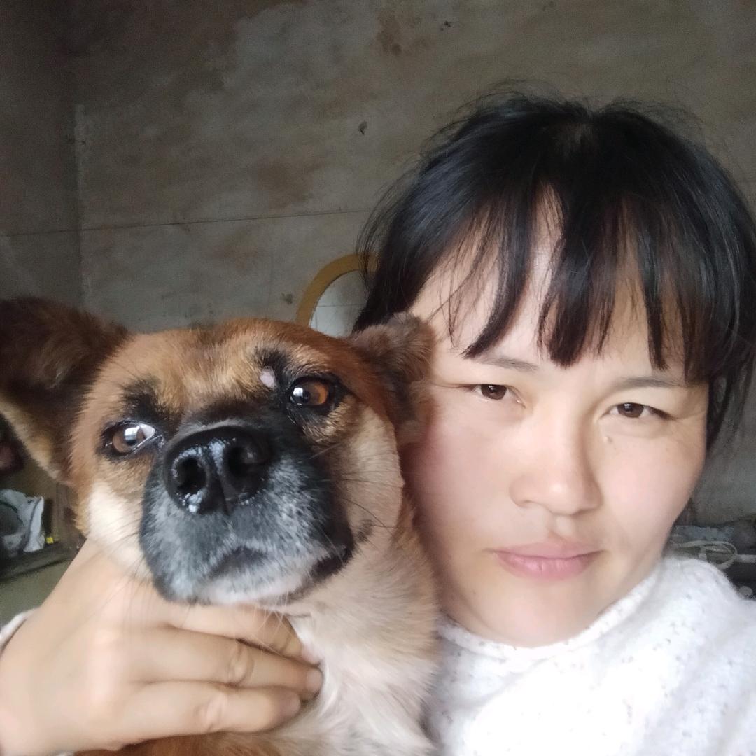 李彩萍