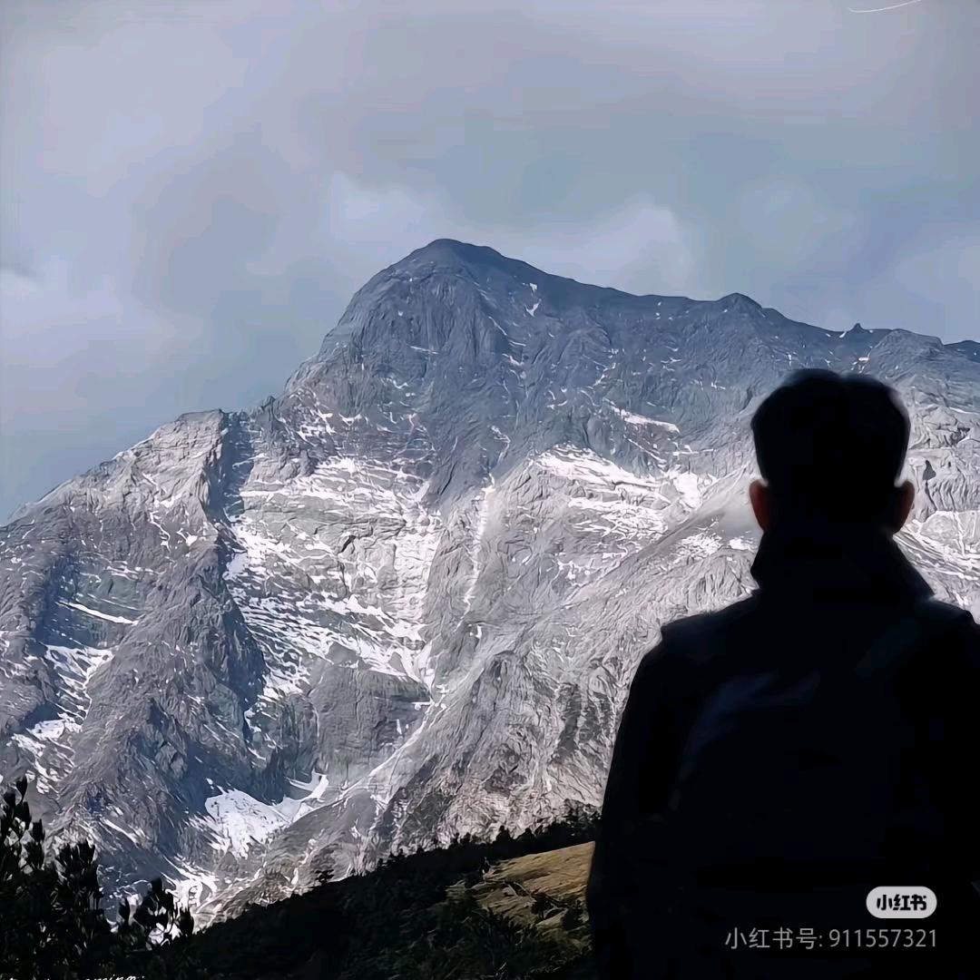 是晨先生啊