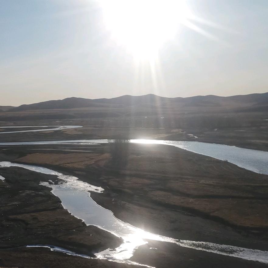 寒江孤影🐬🐬🐬🐉🐉🐉