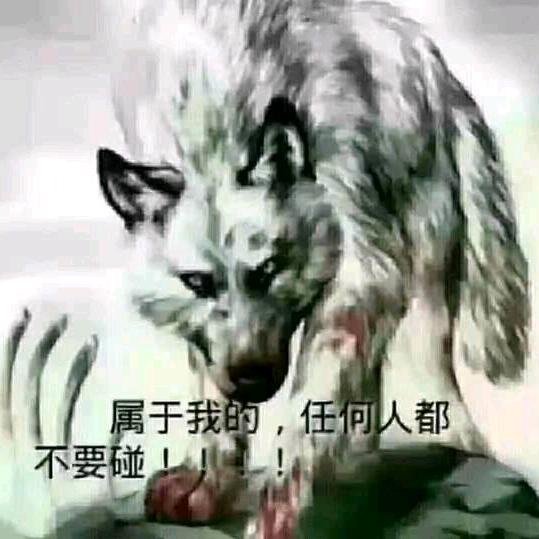 狼行天下