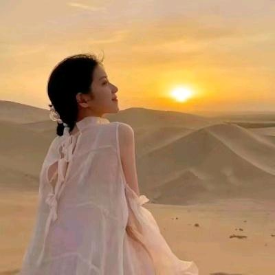 一只暖宝宝（黑色大乱斗）