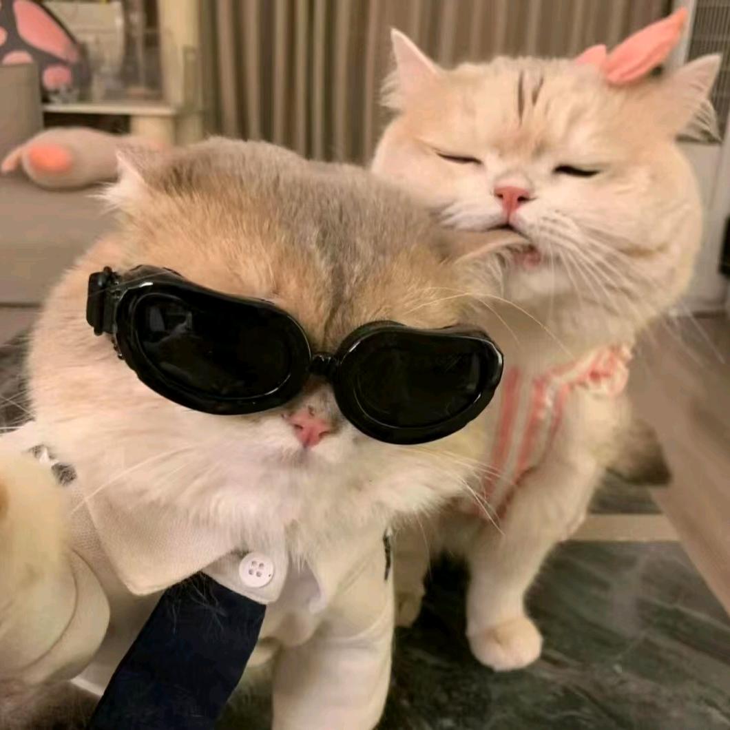 ♛琳♛