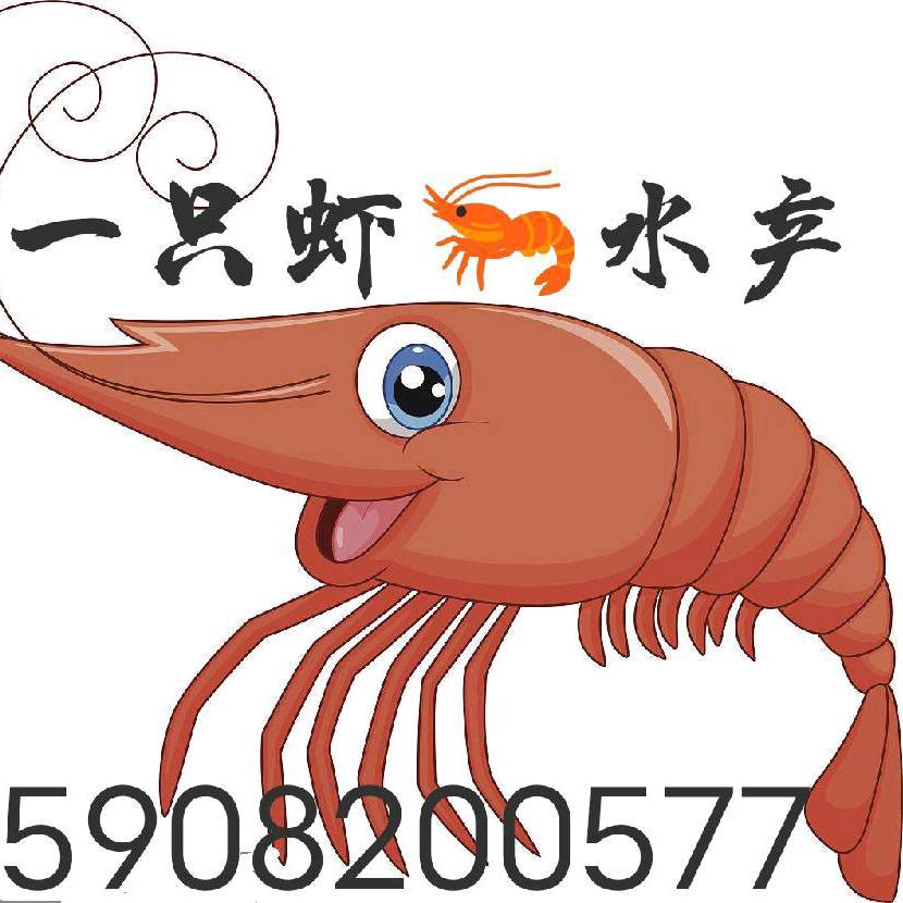 一只虾🦐水产