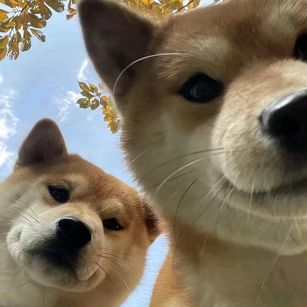 奇迹小磊
