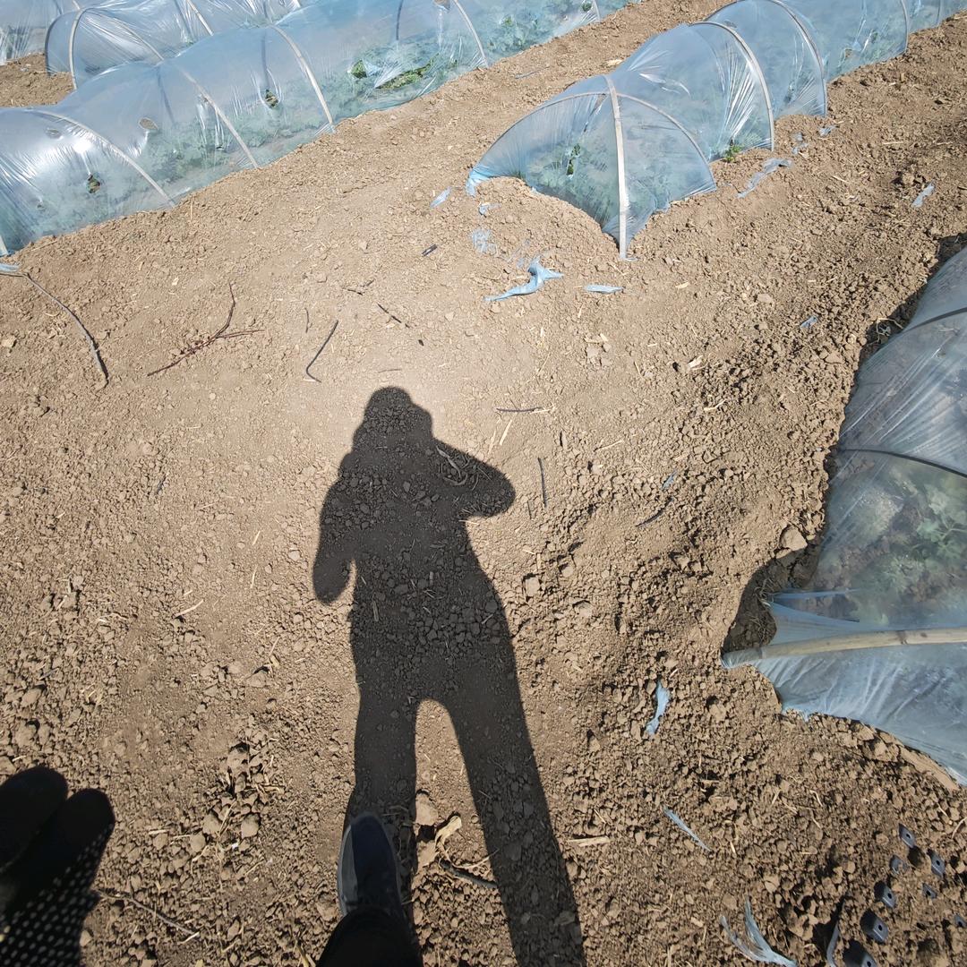 努力努力再努力®