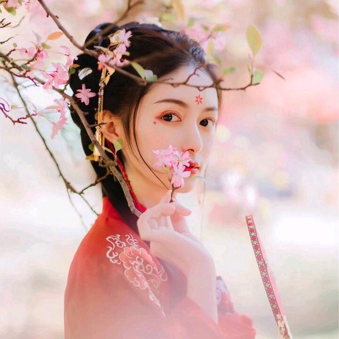 落青枝头像