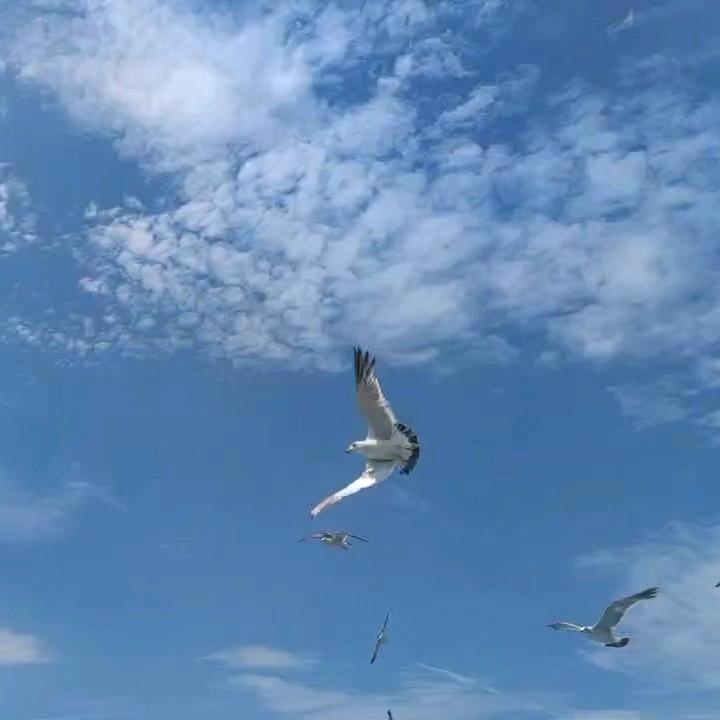 Wangᥫᦱ