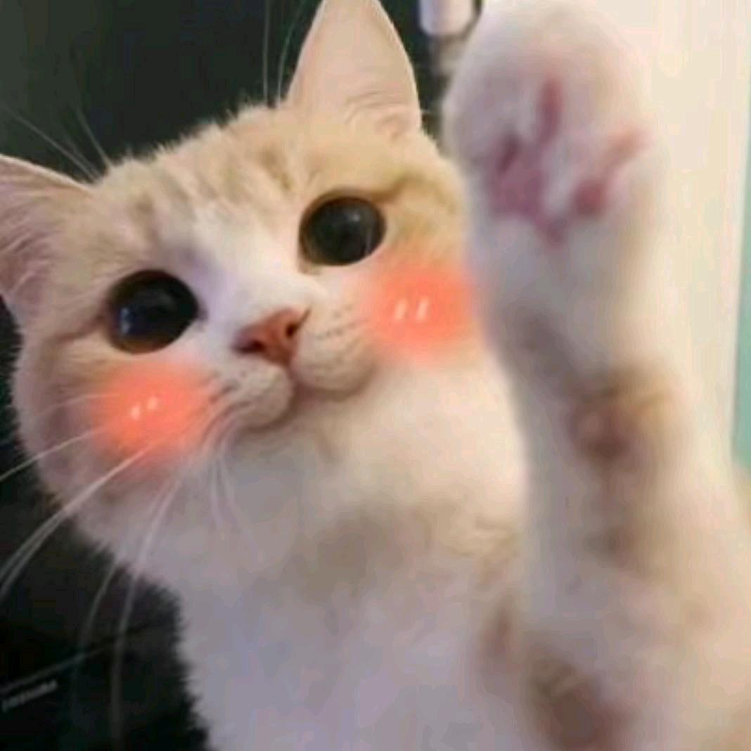 古德猫۶•͈⚇•͈♡̷宁