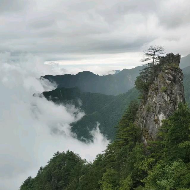 汉中网约车司机