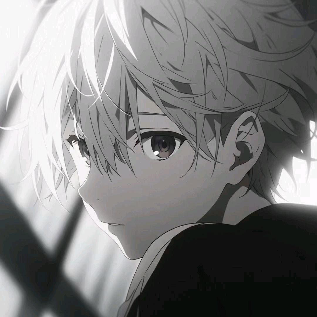 .ㅤㅤㅤㅤㅤㅤㅤㅤ树