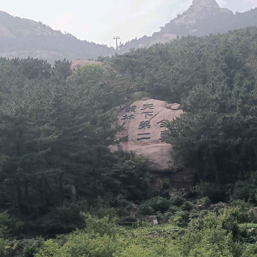 成都阿良