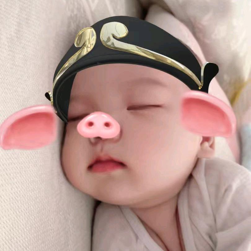 小苏北