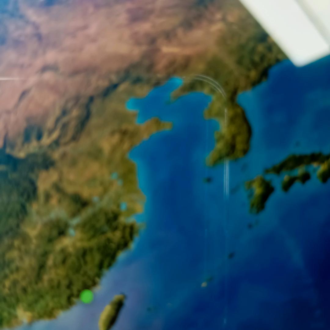 香菜丸子