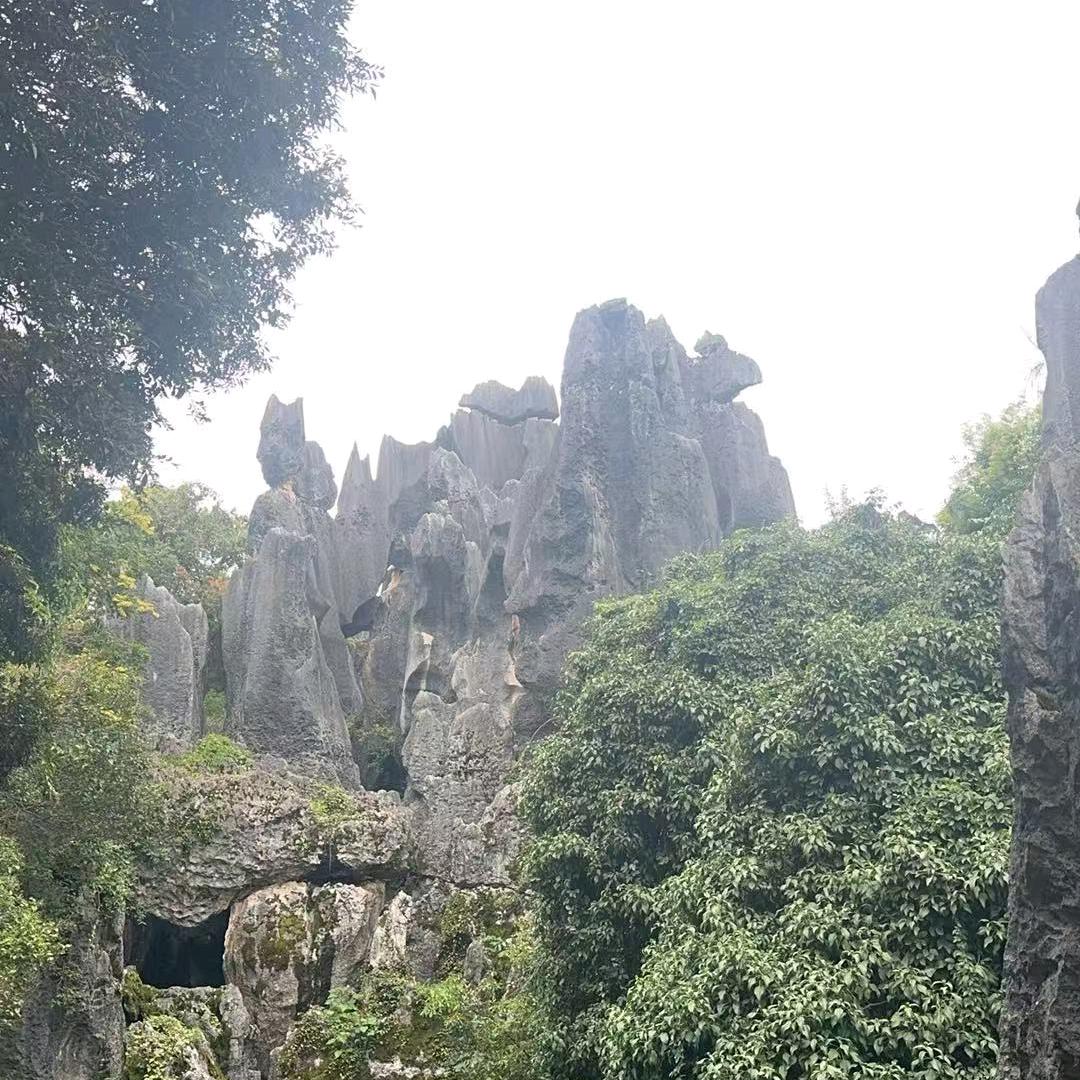 沭阳酷雨汽车维修服务中心（个体工商户）