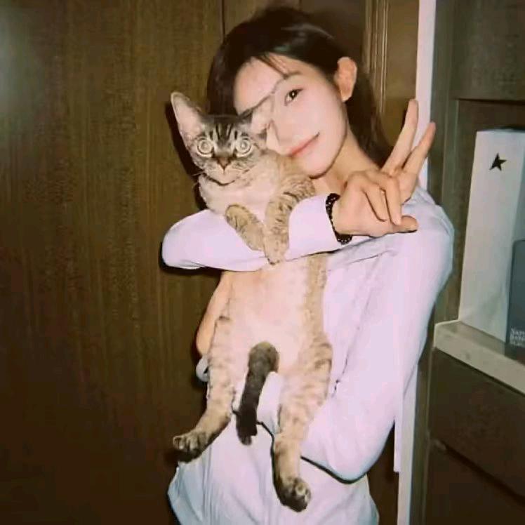 chen、