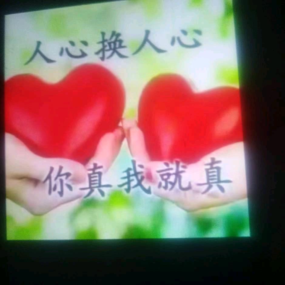 (快乐，情为何物))