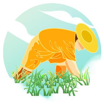 永春桂洋特色农产