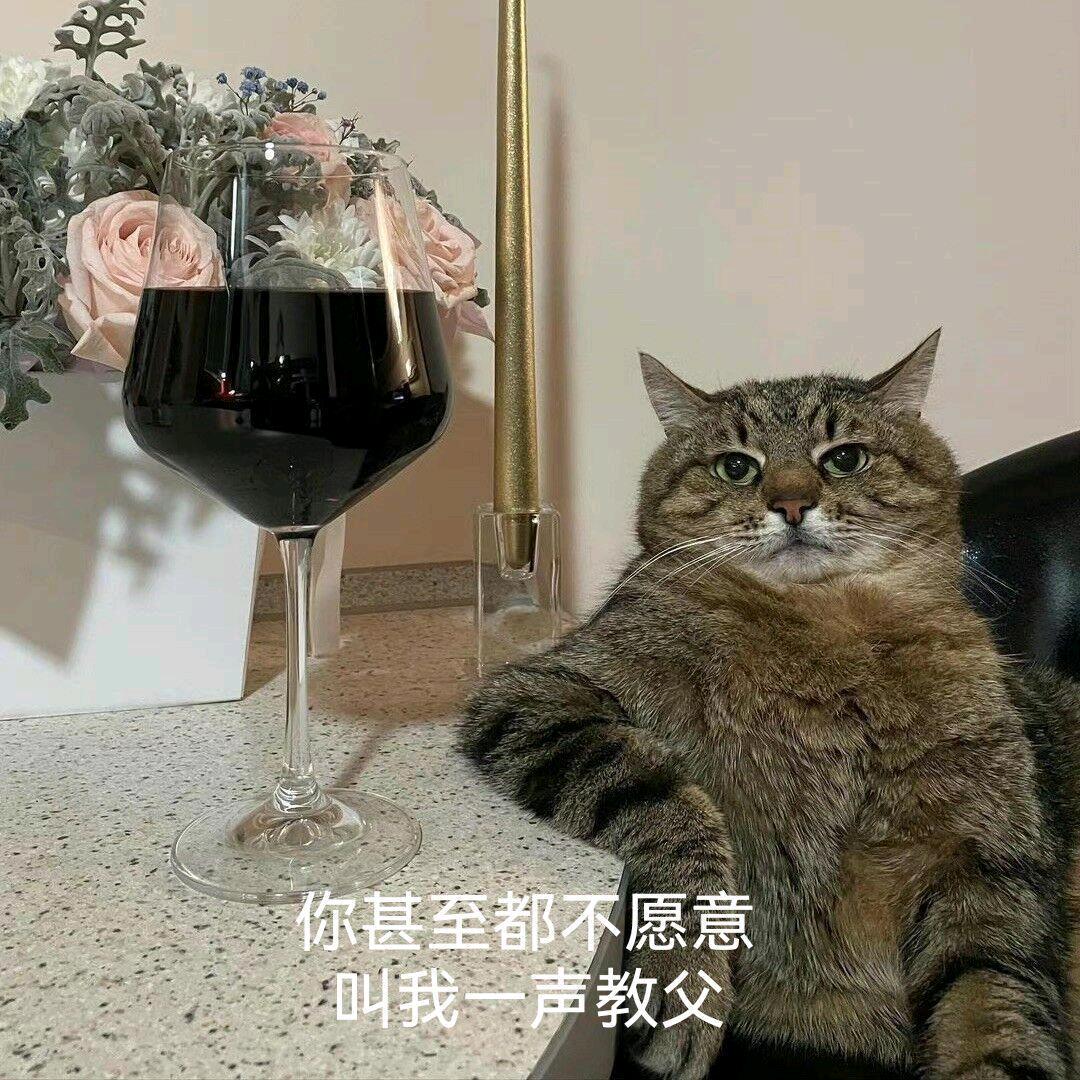 司徒猫