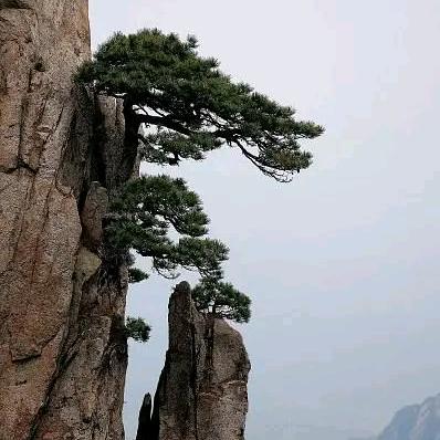 晚风过境&