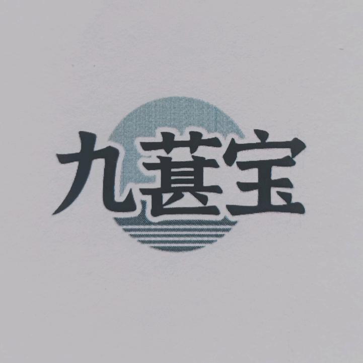 九葚宝刘少华严选工厂店