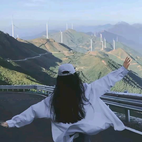 简白U