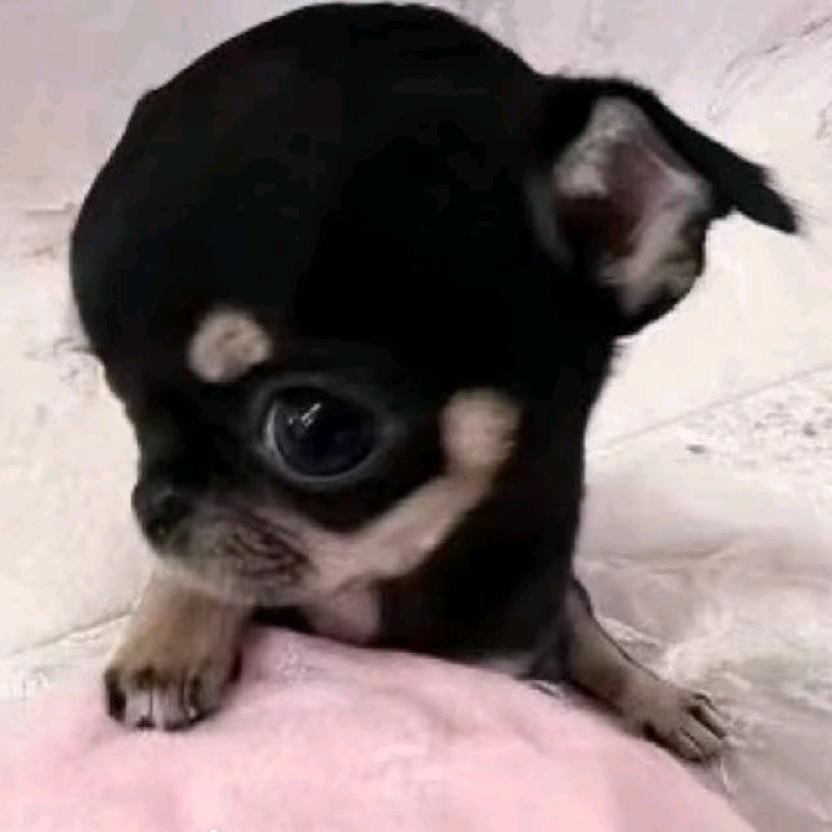 广东第一爱钱