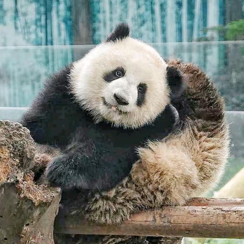 相濡