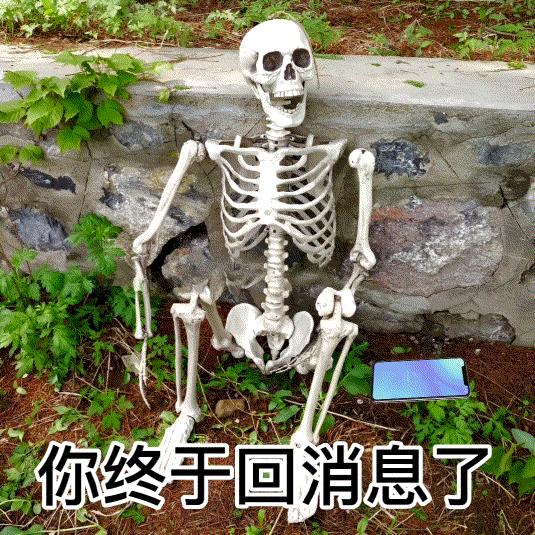 重新开始2