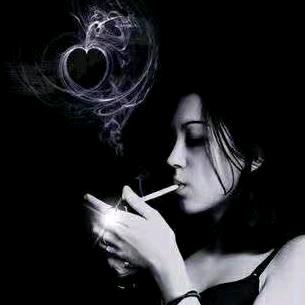 💞࿐猪的世界你不懂💞࿐