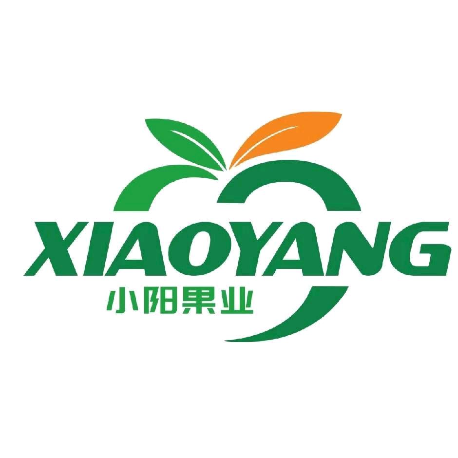 小阳果业（绣湖里总店）